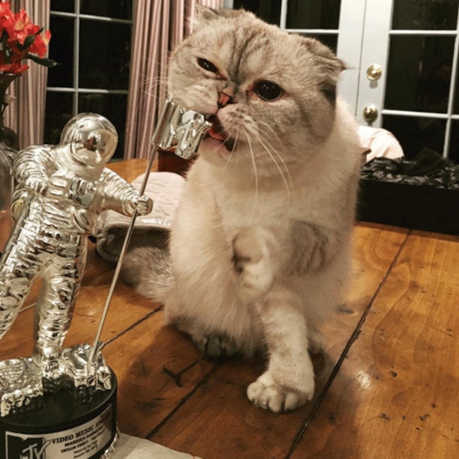 Taylor Swift, Olivia Benson, Instagram